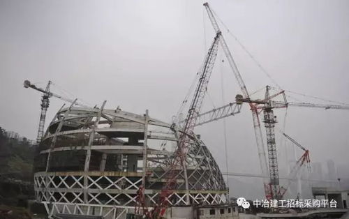 2 沙文生態科技產業園望達標準廠房項目應用中心鋼網架 屋面系統工程專業分包